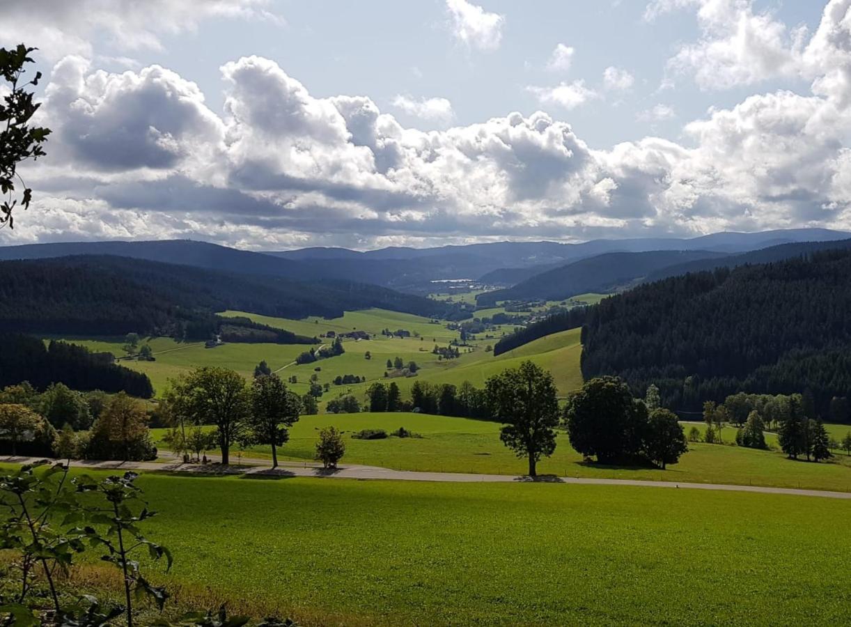 Hotel Zum Loewen - Unteres Wirtshaus Titisee-Neustadt Ngoại thất bức ảnh