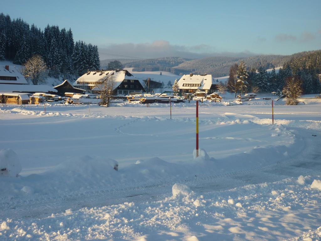 Hotel Zum Loewen - Unteres Wirtshaus Titisee-Neustadt Ngoại thất bức ảnh