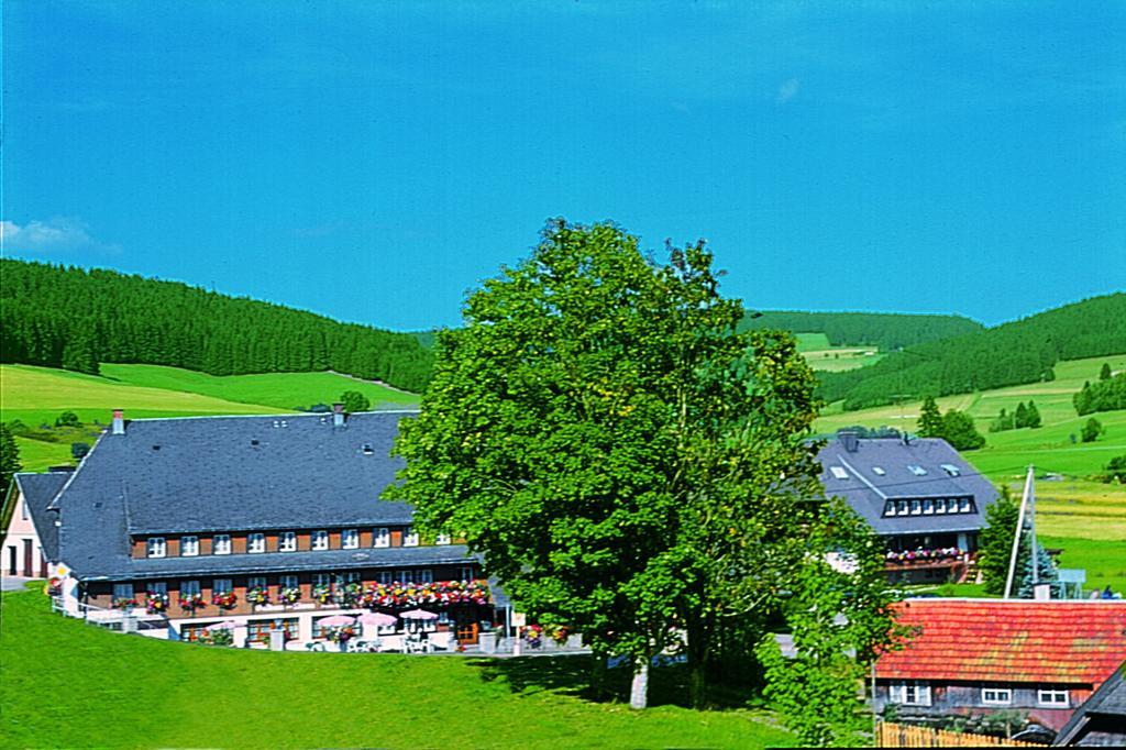 Hotel Zum Loewen - Unteres Wirtshaus Titisee-Neustadt Ngoại thất bức ảnh