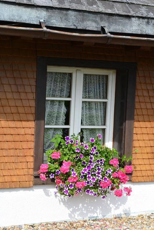 Hotel Zum Loewen - Unteres Wirtshaus Titisee-Neustadt Ngoại thất bức ảnh
